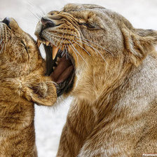 Схема вышивки «№6697»