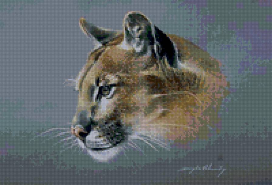 №6704 - предпросмотр