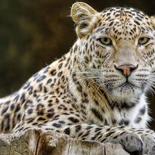 Схема вышивки «№6705»