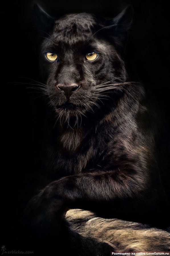 №6707 - оригинал