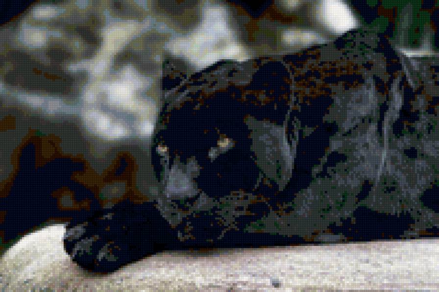 №6711 - предпросмотр