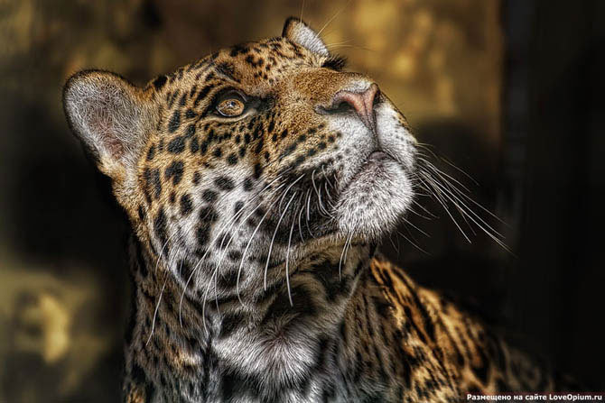 №6712 - оригинал