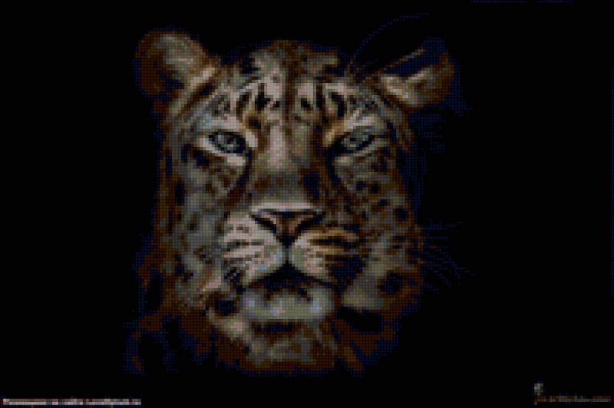 №6719 - предпросмотр