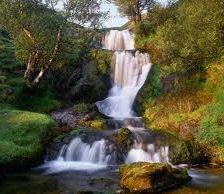 Схема вышивки «уголок природы»