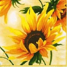Схема вышивки «Подсолнухи»