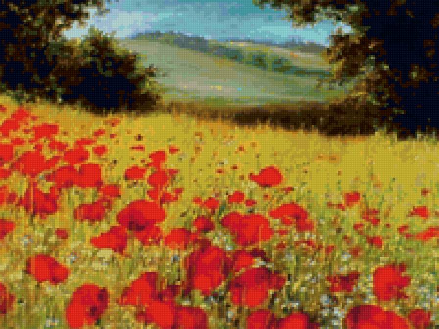 маковое поле - природа, пейзаж - предпросмотр