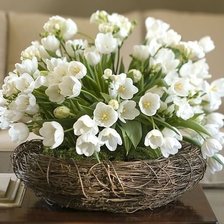 Схема вышивки «натюрморт»