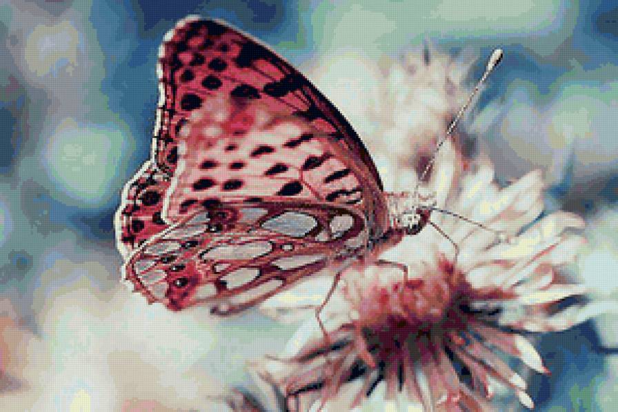 №7124 - предпросмотр