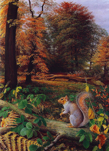 №7128 - животные - оригинал