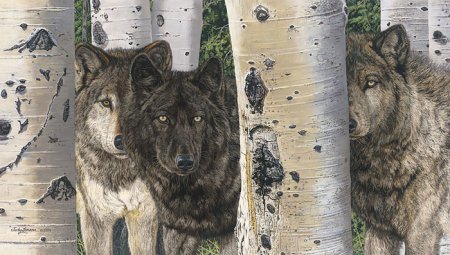 Волки - волки, животные - оригинал