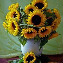 Схема вышивки «Подсолнухи»