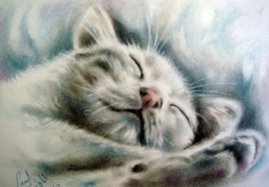 серия кошки - кошки - оригинал