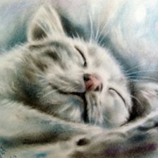 Схема вышивки «серия кошки»