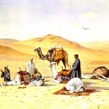 Схема вышивки «№7525»