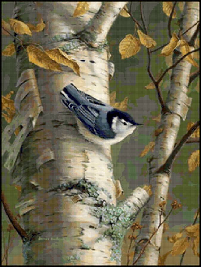 Природа) - предпросмотр