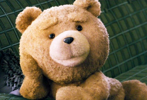 Тед - оригинал