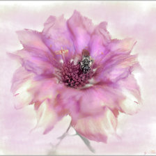 Схема вышивки «сереневый цветок»