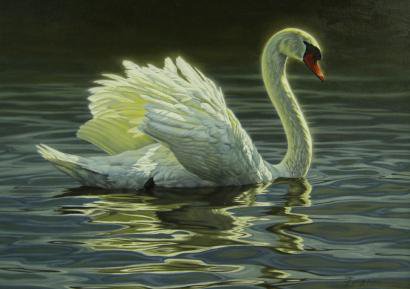 Лебедь) - лебедь - оригинал