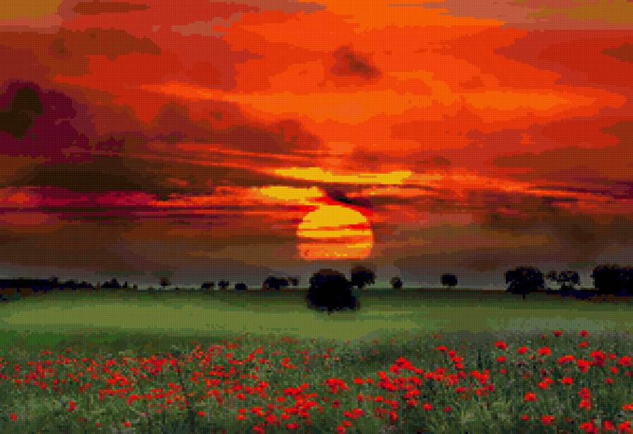 Пейзаж - закат, маки, природа - предпросмотр