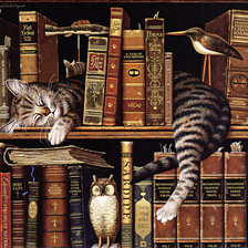 Схема вышивки «Книголюб»