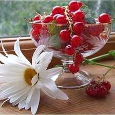 Схема вышивки «ягодки»