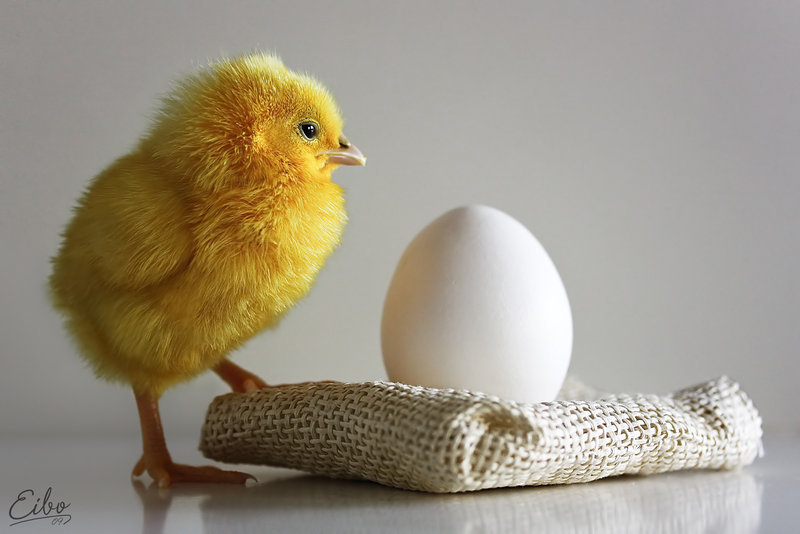 101 - оригинал