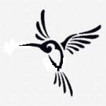 Колибри - монохром, птицы - оригинал