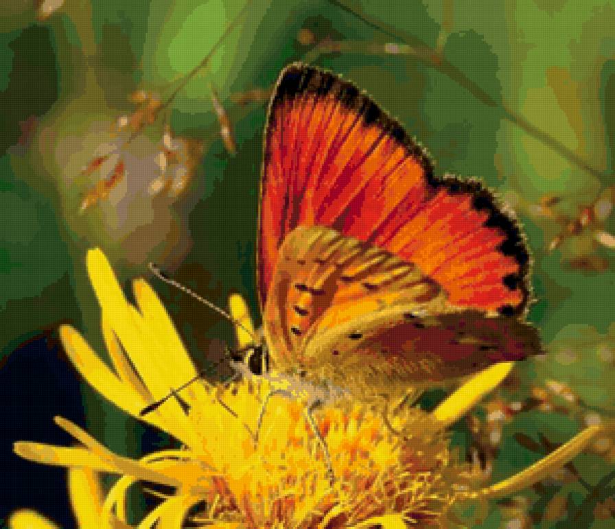 №8400 - предпросмотр