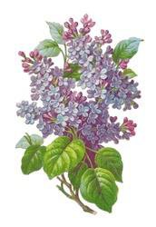 №8434 - оригинал