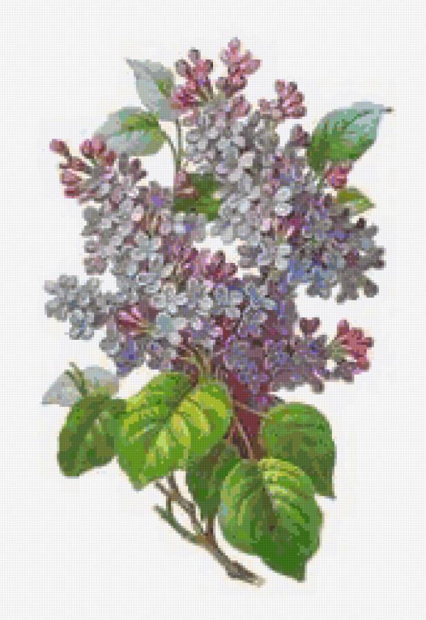 №8434 - предпросмотр