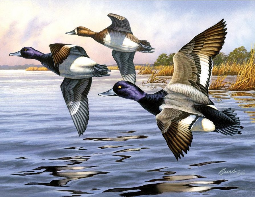 Над рекой - птицы, живопись, утки, пейзаж - оригинал