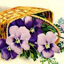 Схема вышивки «№8446»