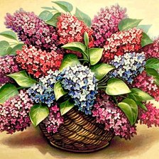 Схема вышивки «№8448»