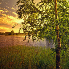 Схема вышивки «Пейзаж»