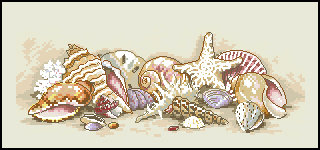 ракушки - море, ракушки - оригинал