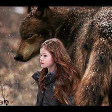 Схема вышивки «ренесми»