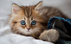 №8664 - оригинал