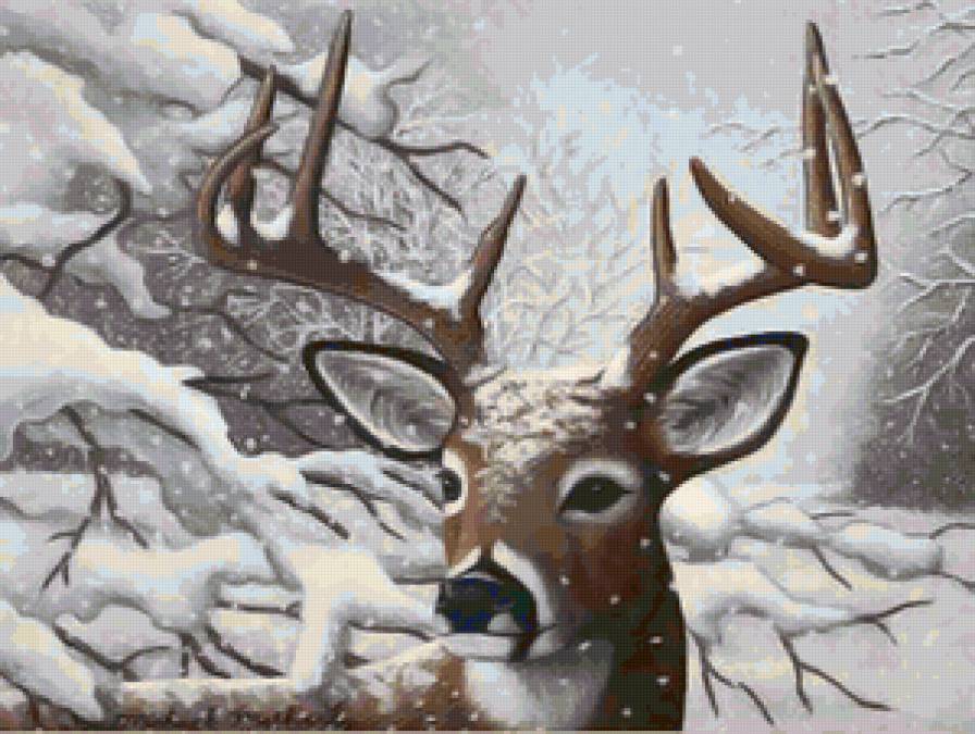 Олень)) - животные, олень - предпросмотр