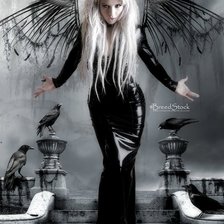 колдунья ночи