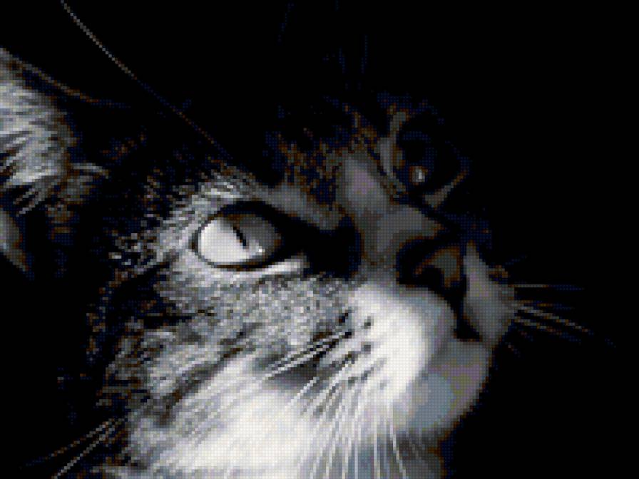 №8820 - предпросмотр