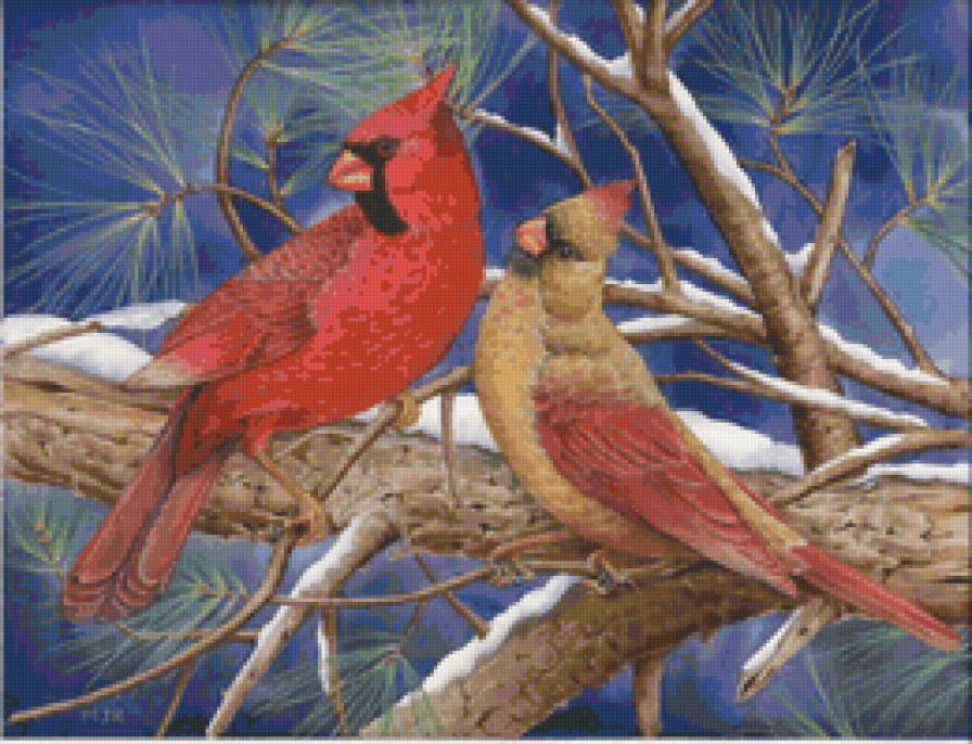 №8831 - птицы - предпросмотр