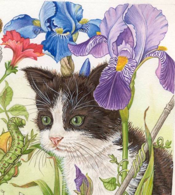 №8835 - кошка - оригинал