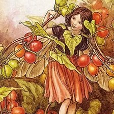 Схема вышивки «№8848»