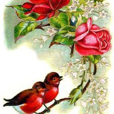 Схема вышивки «На розе»