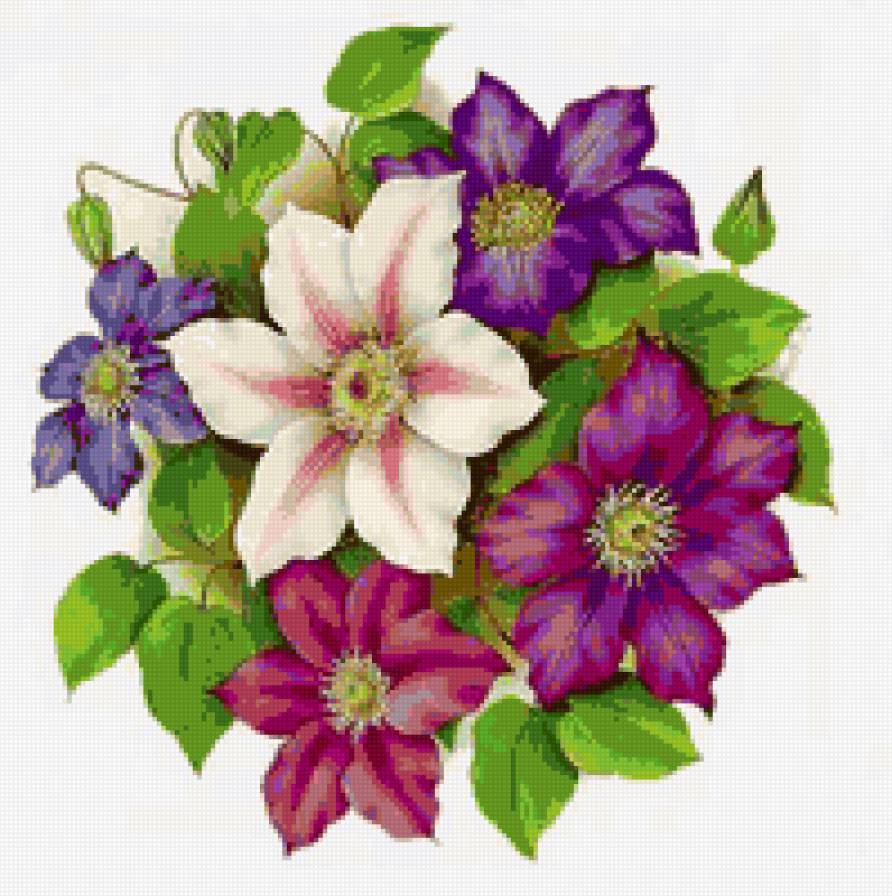 цветы - цветы, букет - предпросмотр