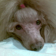 Схема вышивки «Таточка2»