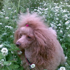 Схема вышивки «Таточка4»