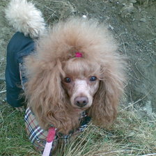 Схема вышивки «Таточка5»