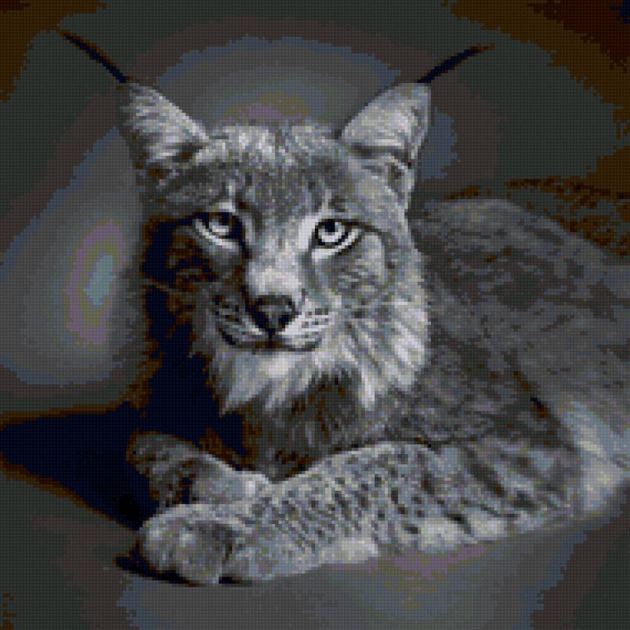 №9287 - предпросмотр