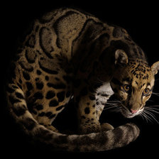 Схема вышивки «№9290»